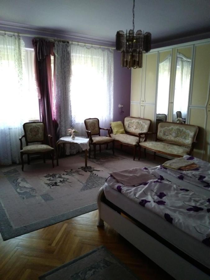 Balogh Vendeghaz Hotel Seghedin Exterior foto