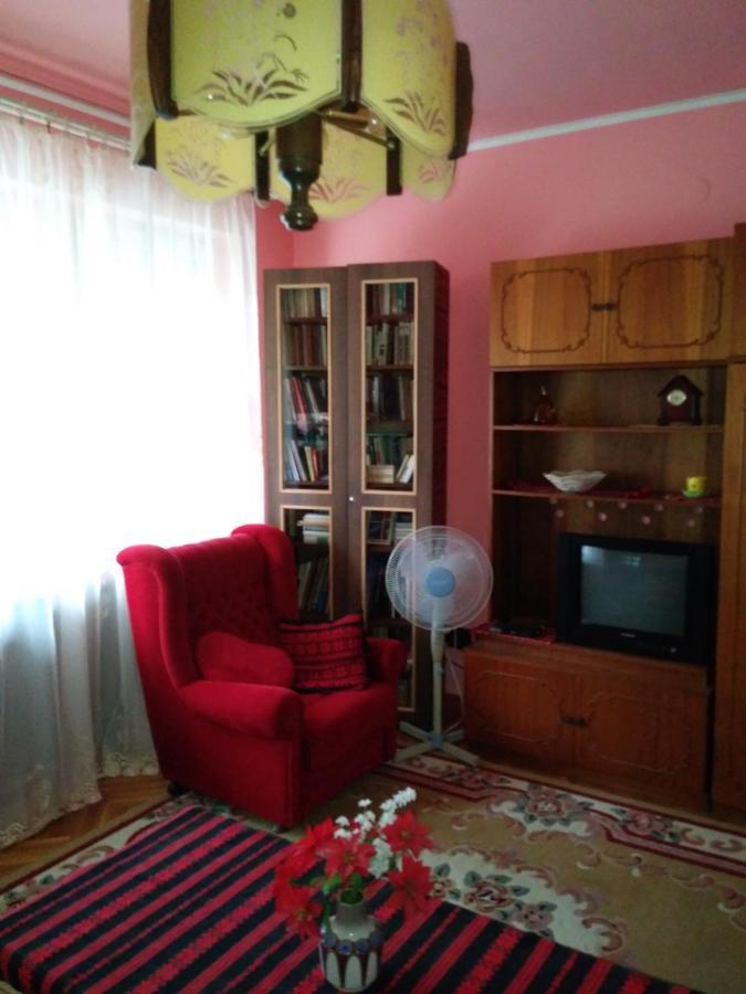Balogh Vendeghaz Hotel Seghedin Exterior foto