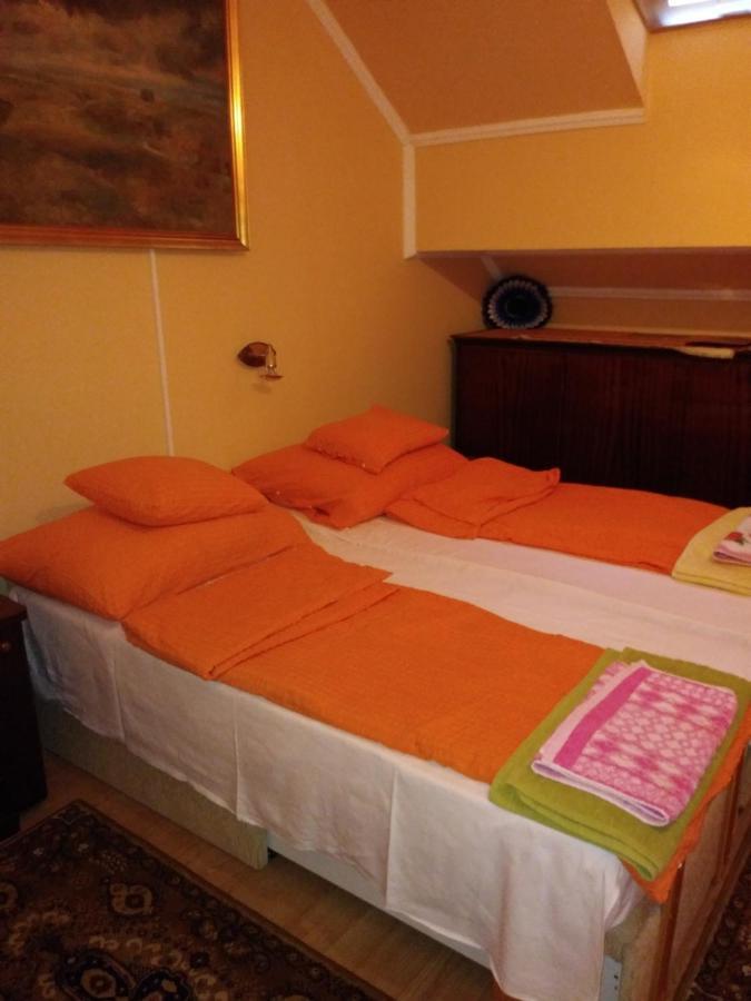Balogh Vendeghaz Hotel Seghedin Exterior foto