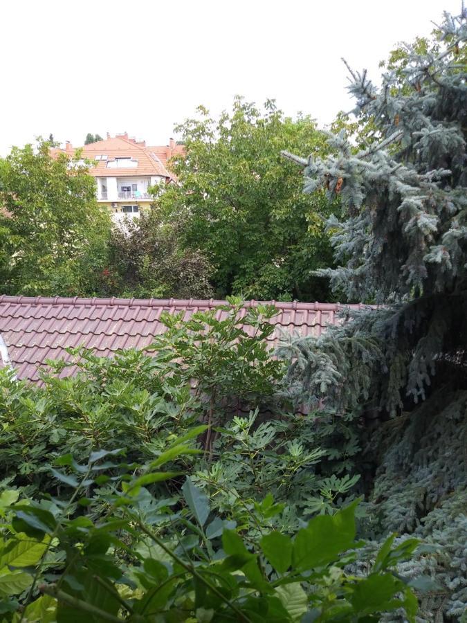 Balogh Vendeghaz Hotel Seghedin Exterior foto